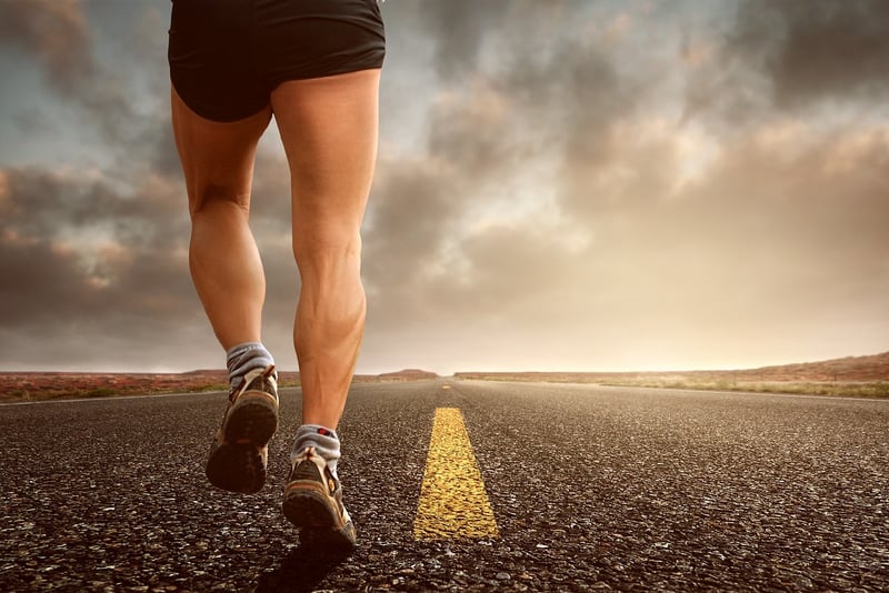 Outdoor Fitness Training